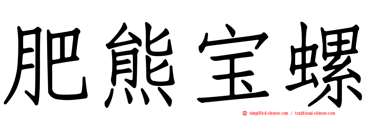 肥熊宝螺