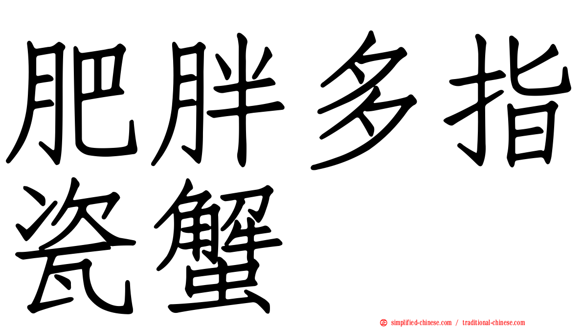 肥胖多指瓷蟹