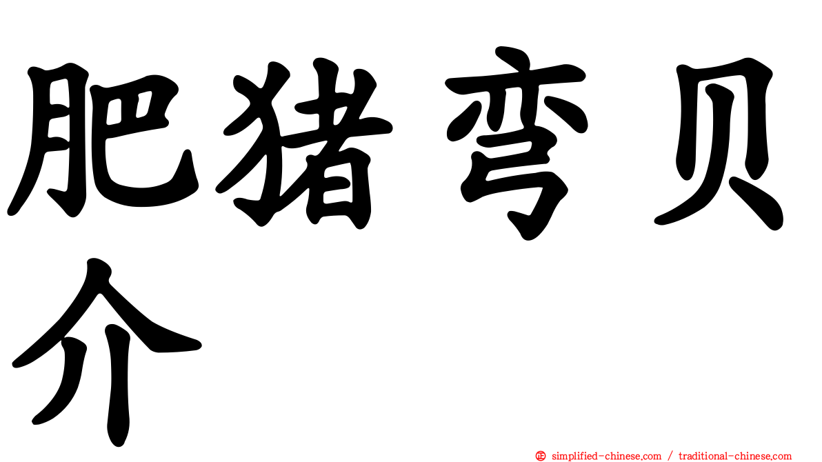 肥猪弯贝介