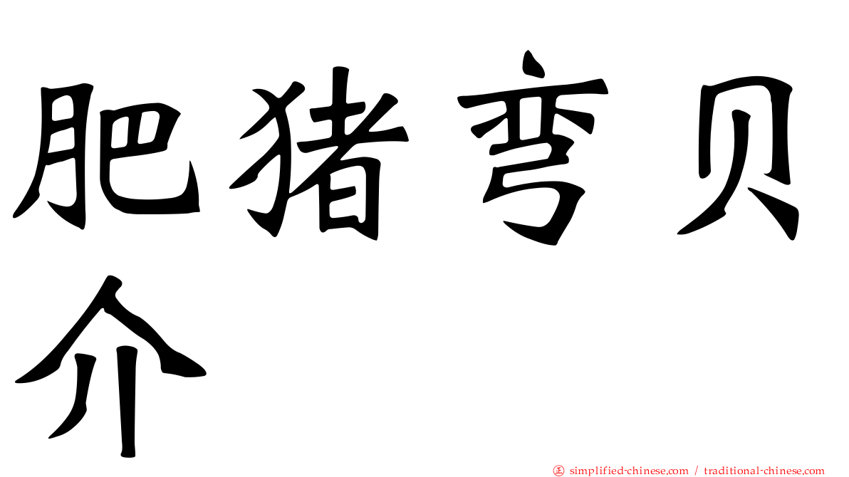 肥猪弯贝介