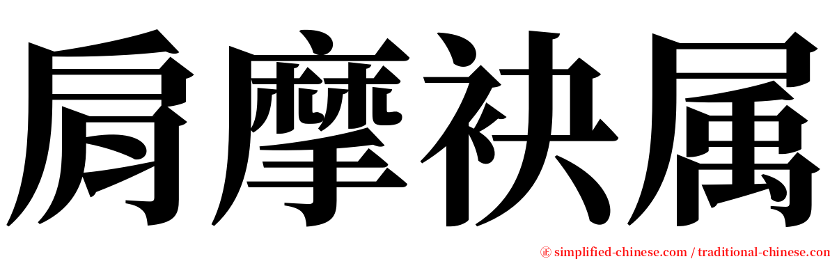 肩摩袂属 serif font