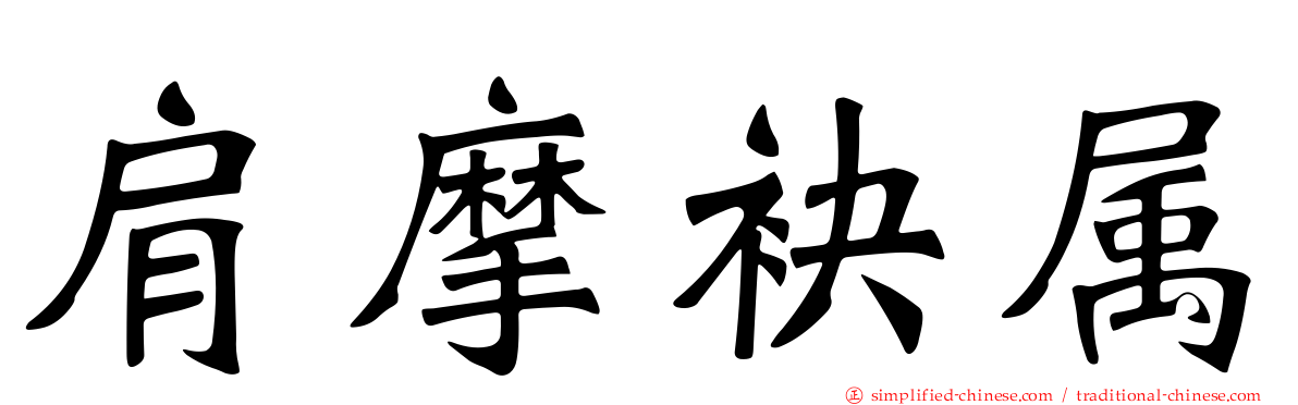 肩摩袂属