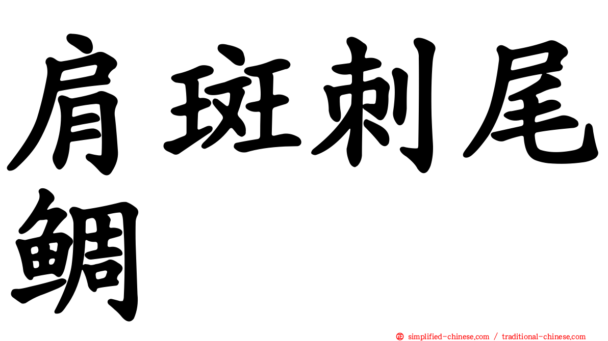 肩斑刺尾鲷
