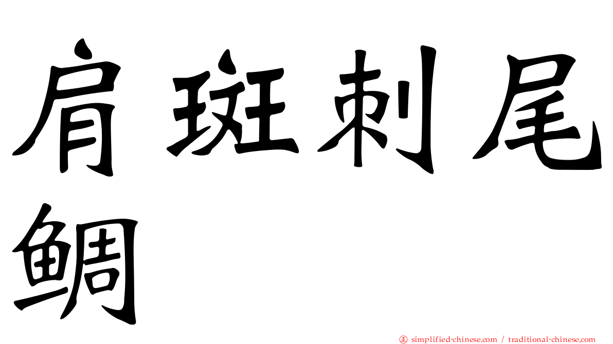 肩斑刺尾鲷