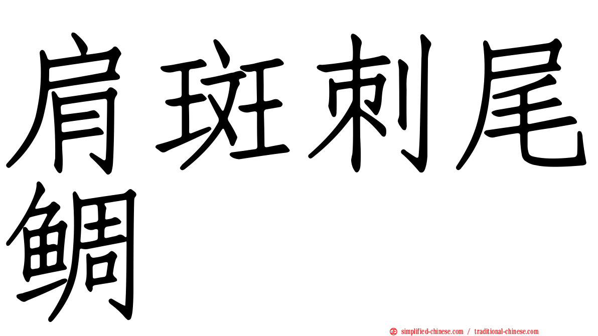 肩斑刺尾鲷