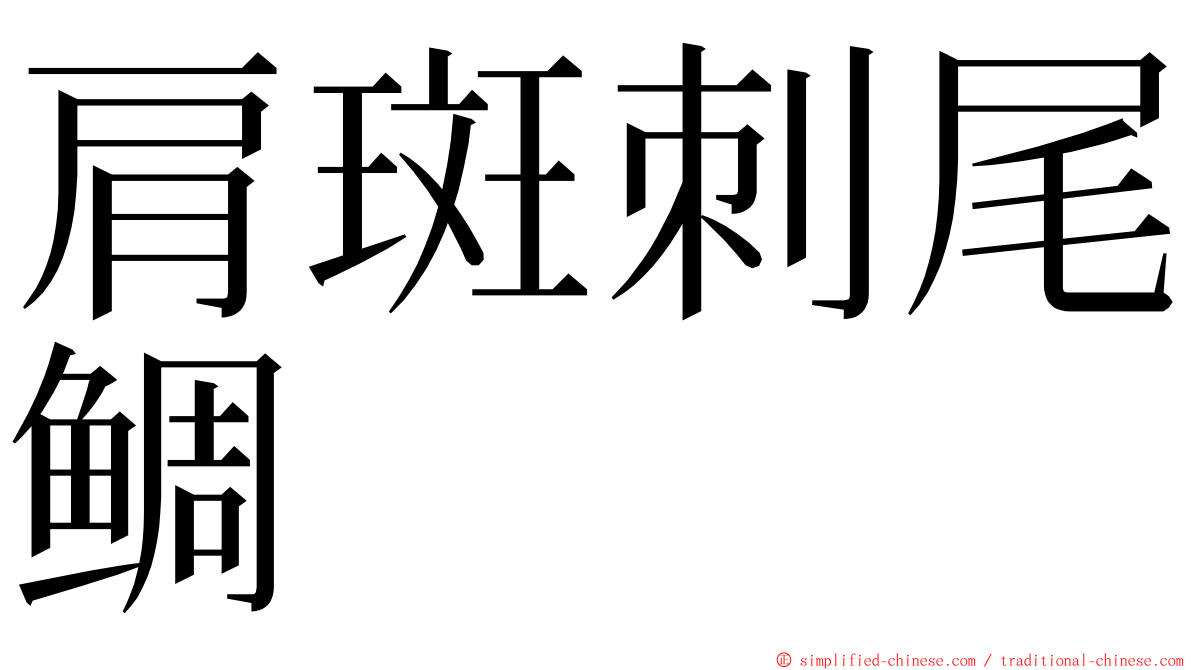 肩斑刺尾鲷 ming font