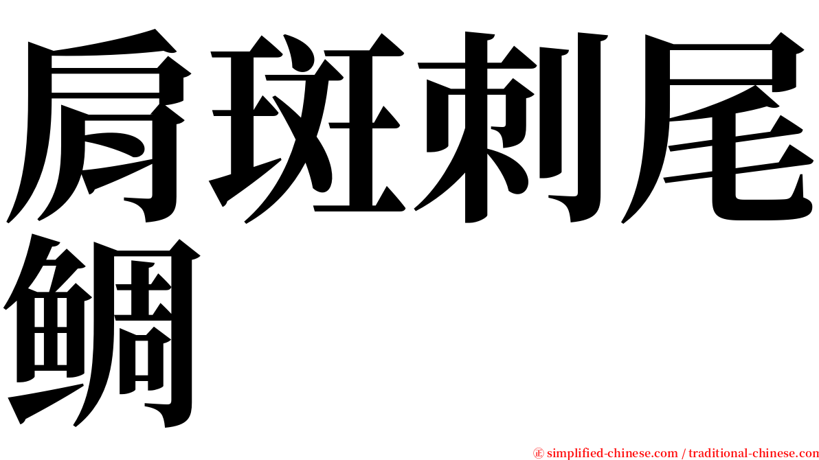 肩斑刺尾鲷 serif font