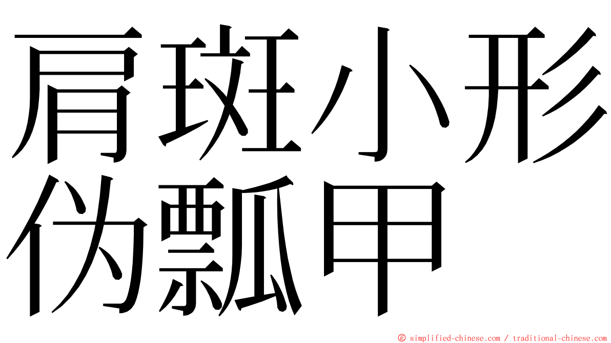 肩斑小形伪瓢甲 ming font