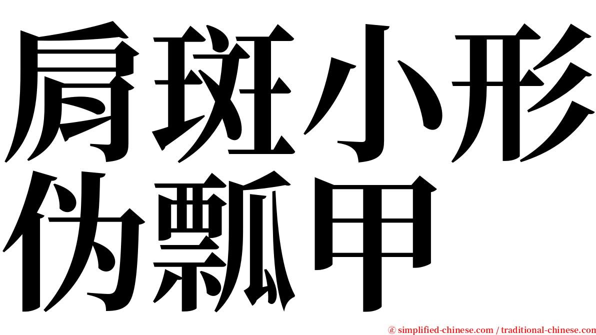 肩斑小形伪瓢甲 serif font