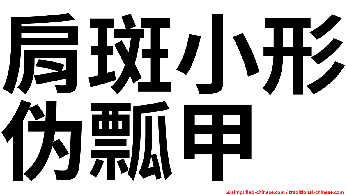 肩斑小形伪瓢甲