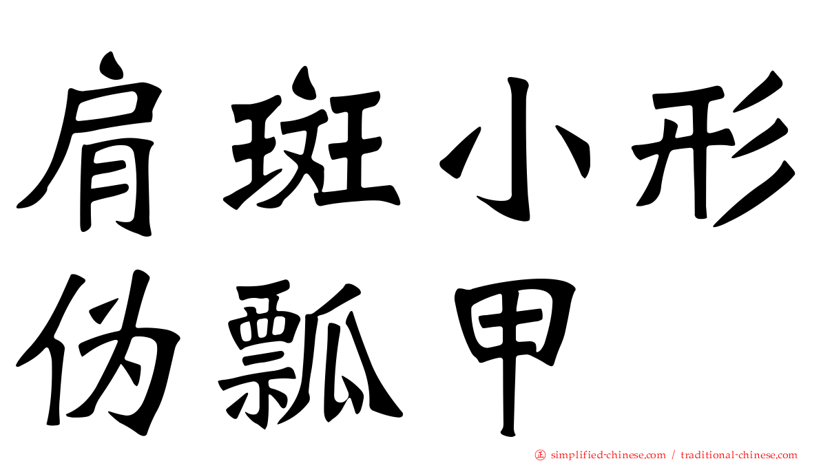 肩斑小形伪瓢甲