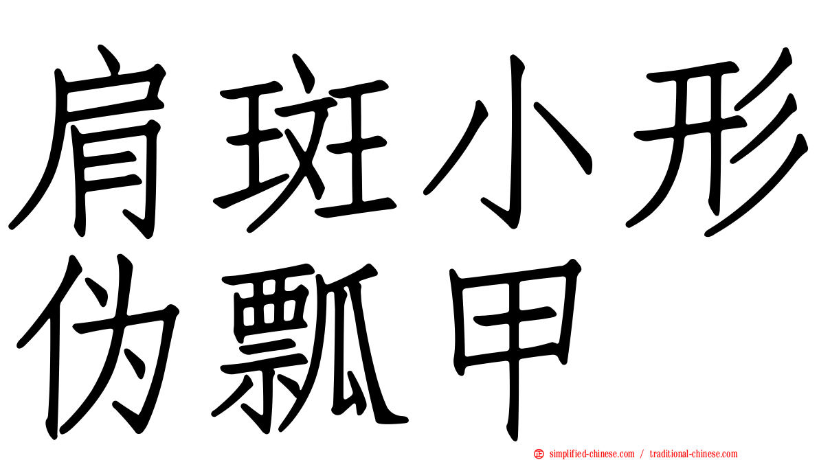 肩斑小形伪瓢甲