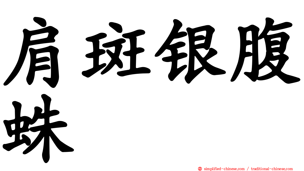肩斑银腹蛛