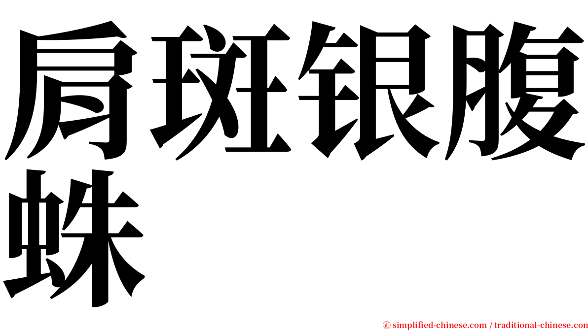 肩斑银腹蛛 serif font
