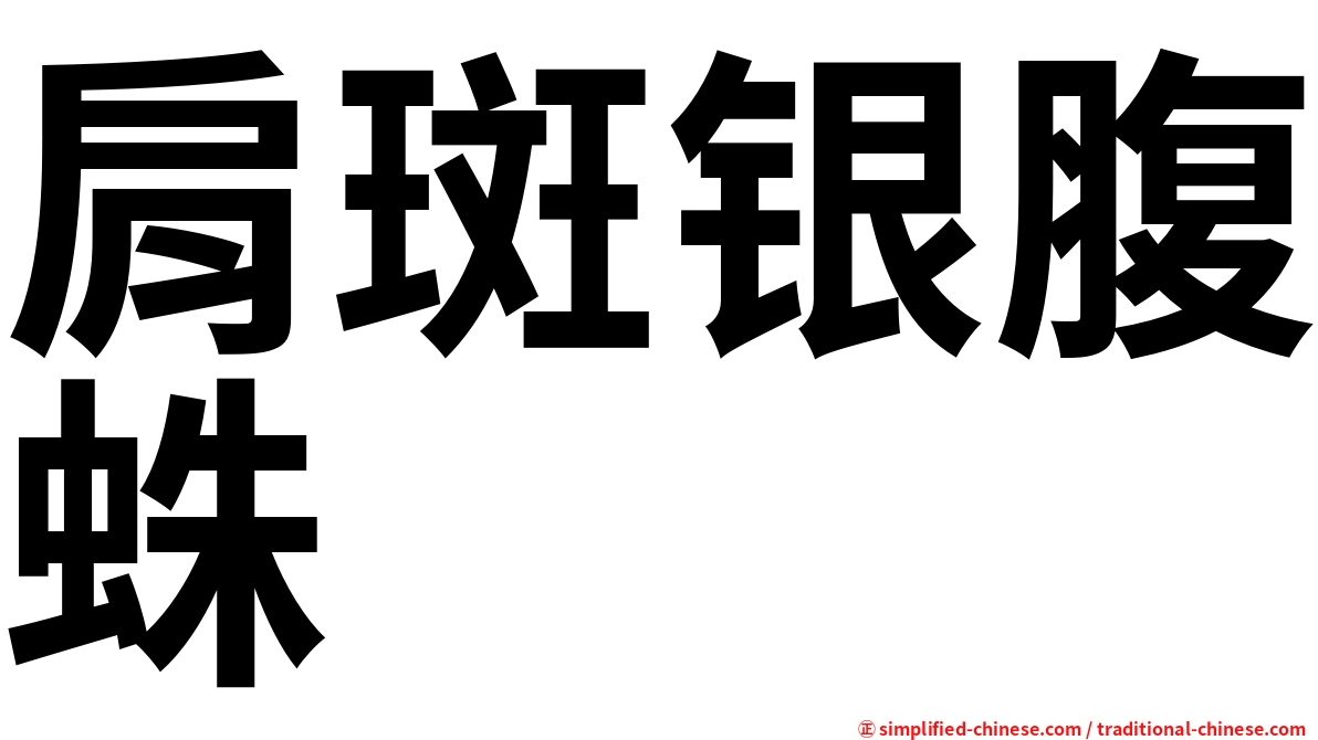 肩斑银腹蛛