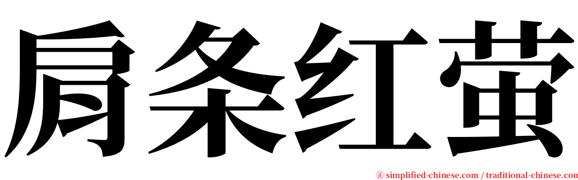肩条红萤 serif font