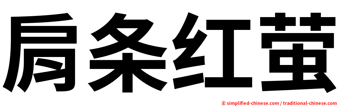 肩条红萤