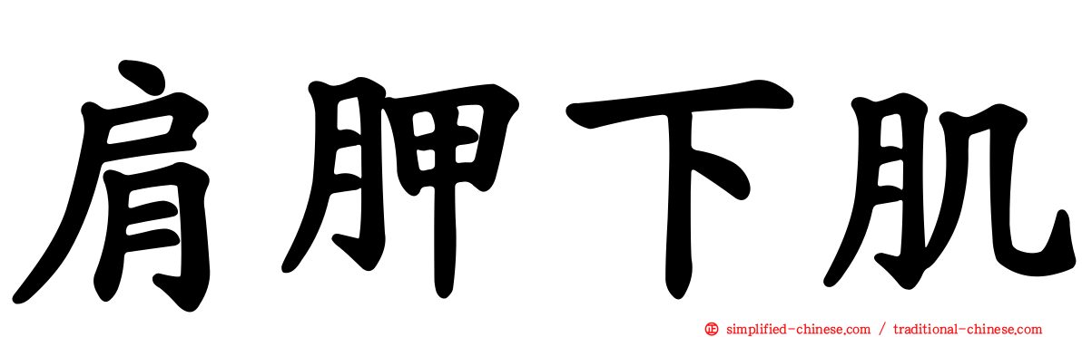 肩胛下肌