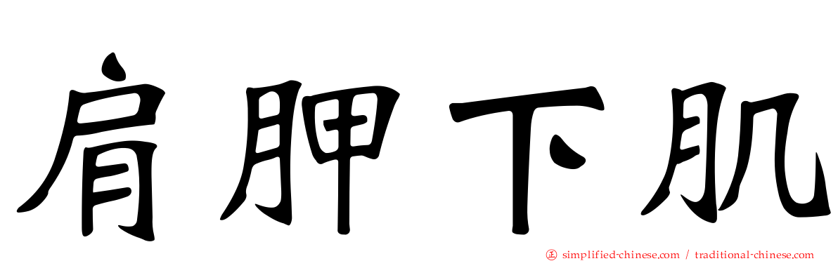 肩胛下肌