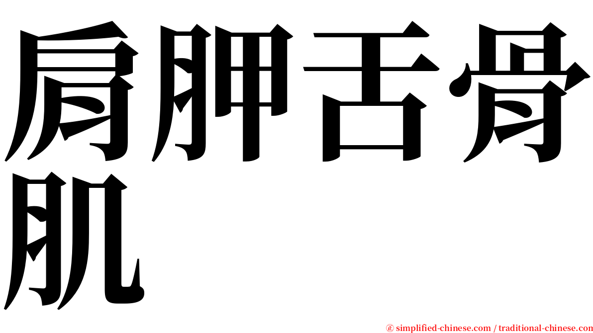 肩胛舌骨肌 serif font