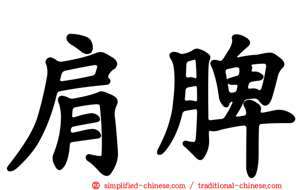 肩脾