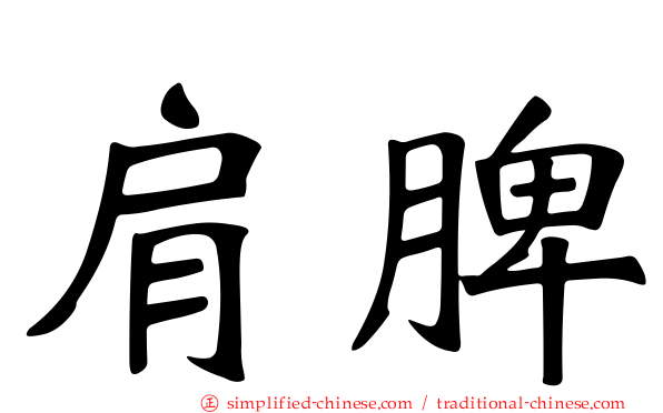 肩脾