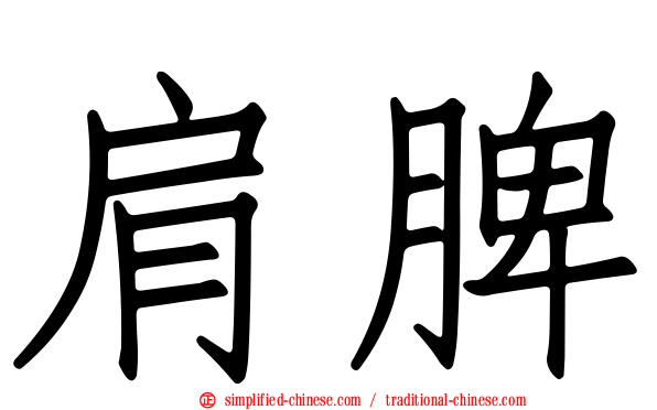 肩脾