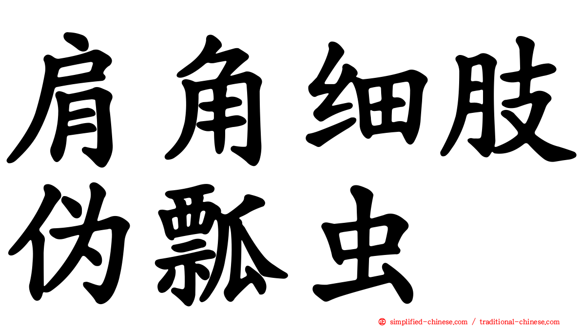 肩角细肢伪瓢虫