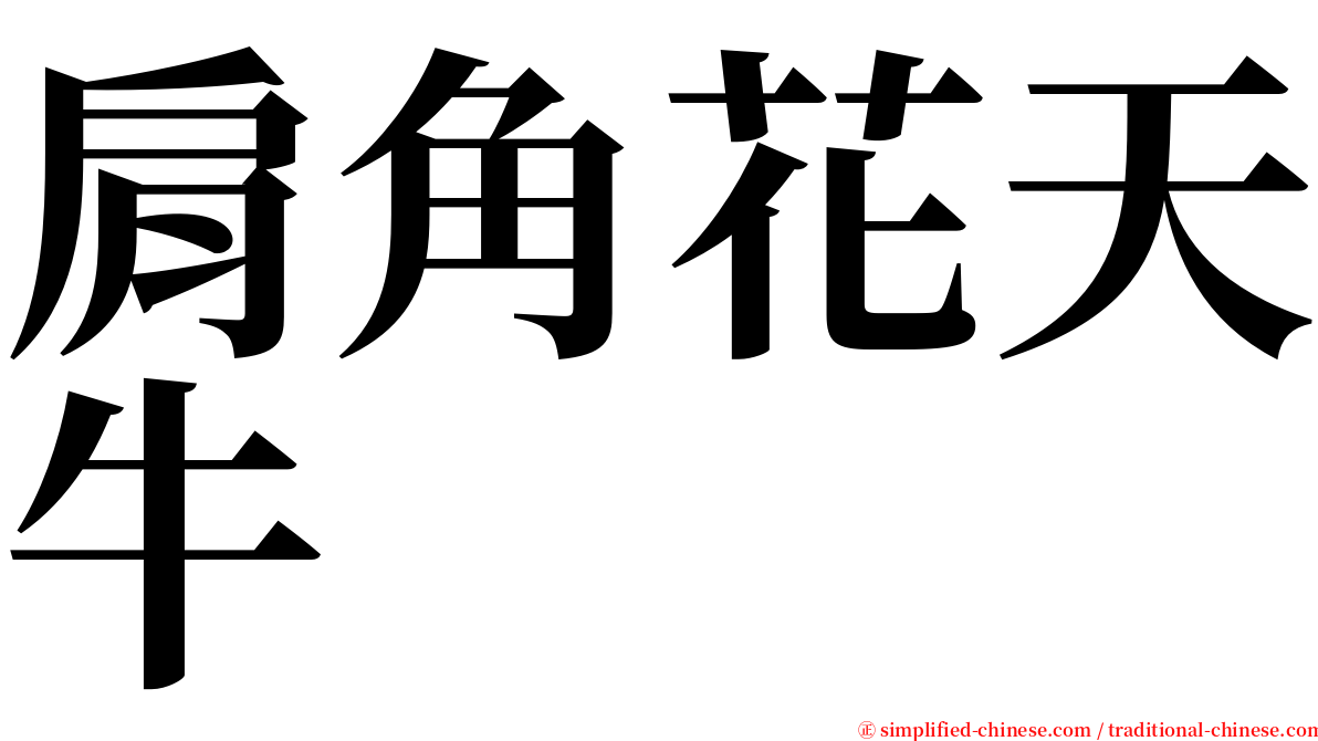 肩角花天牛 serif font