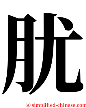 肬 serif font