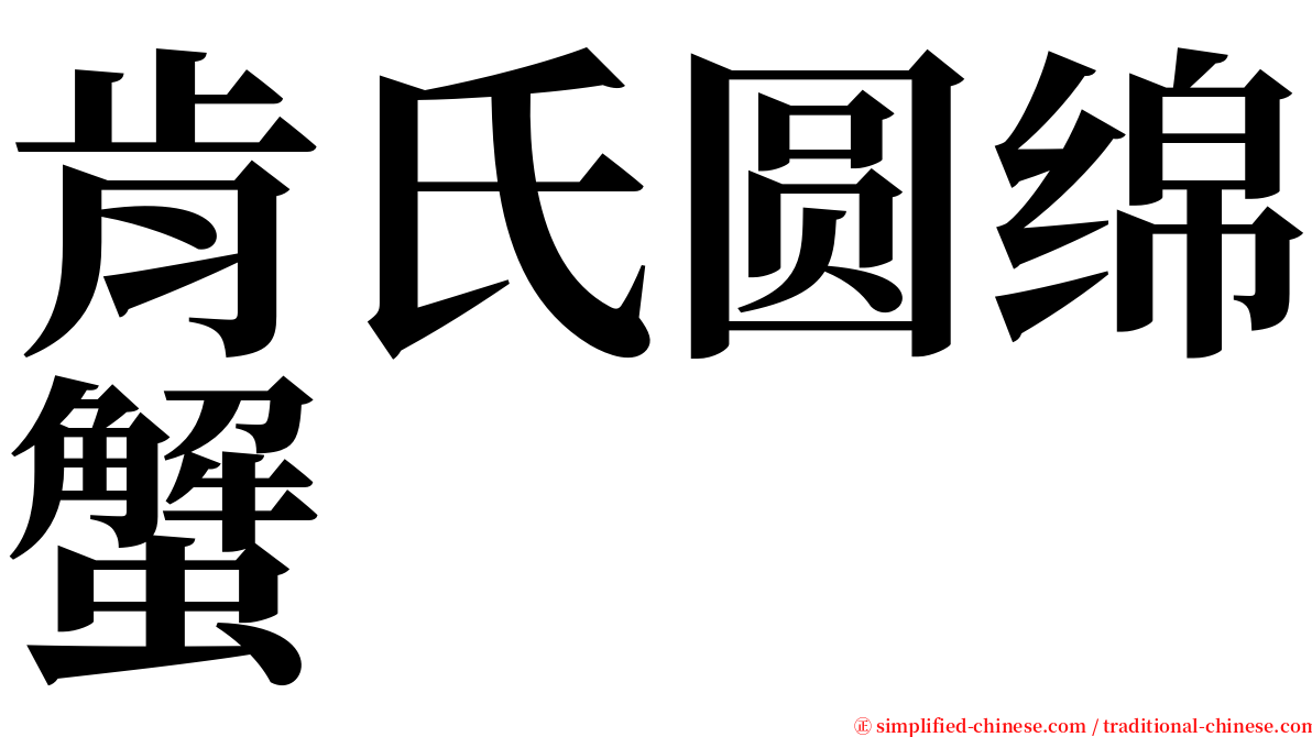 肯氏圆绵蟹 serif font