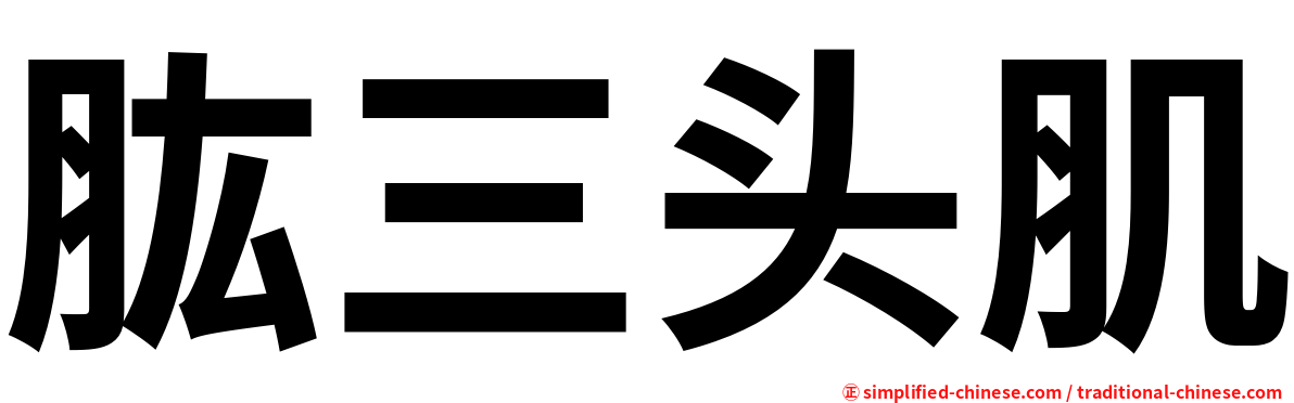 肱三头肌