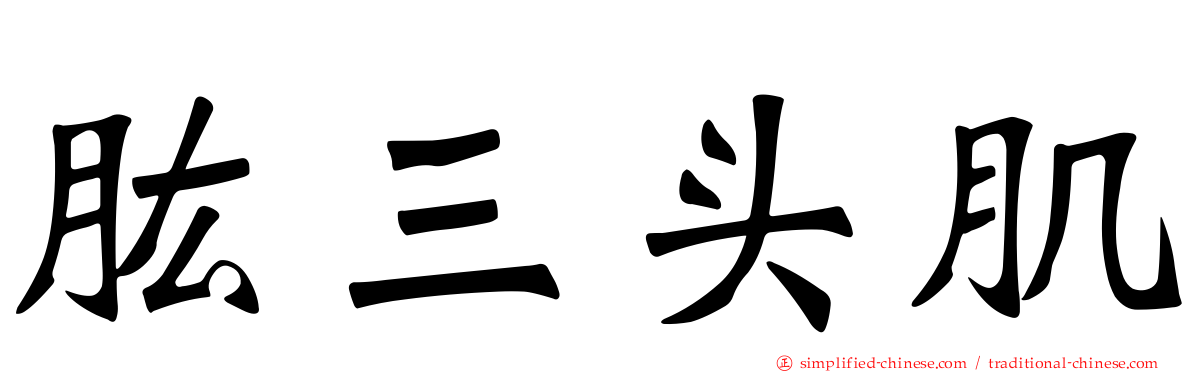 肱三头肌