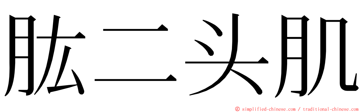 肱二头肌 ming font