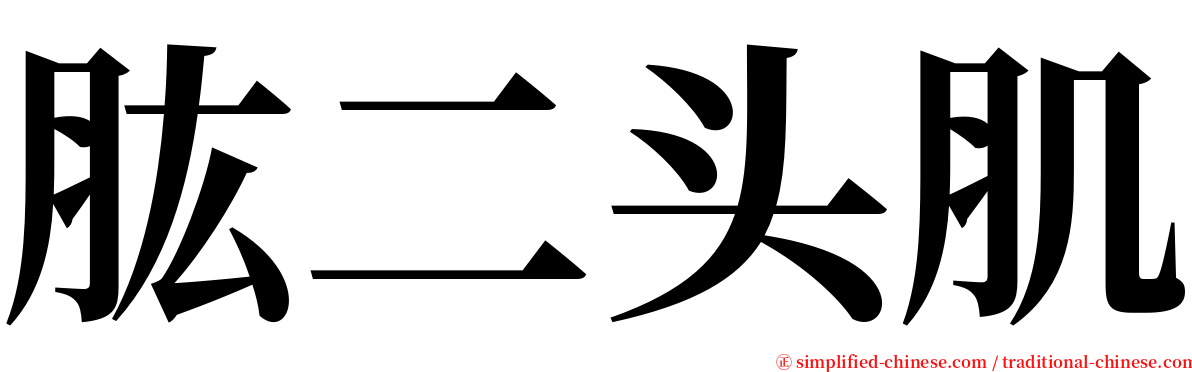 肱二头肌 serif font