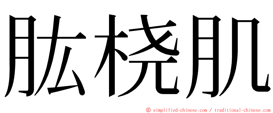 肱桡肌 ming font