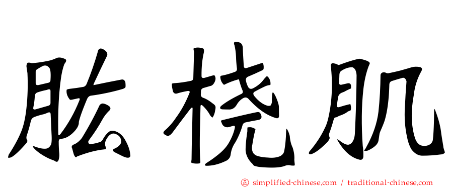 肱桡肌