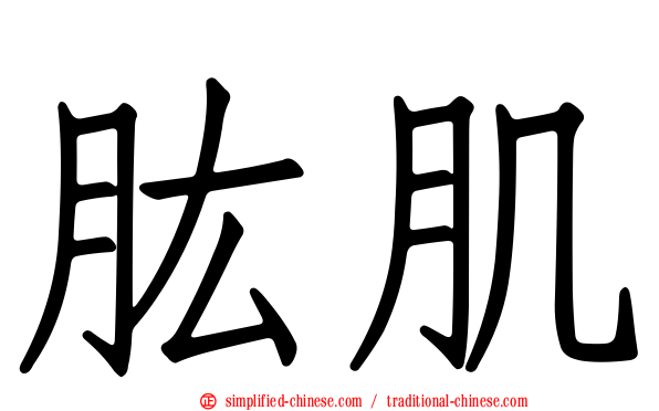肱肌