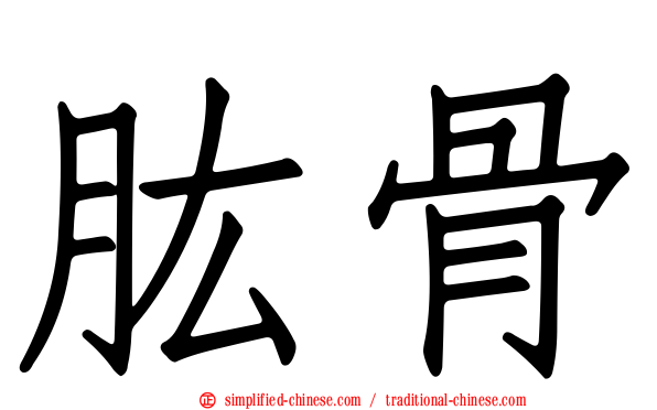肱骨