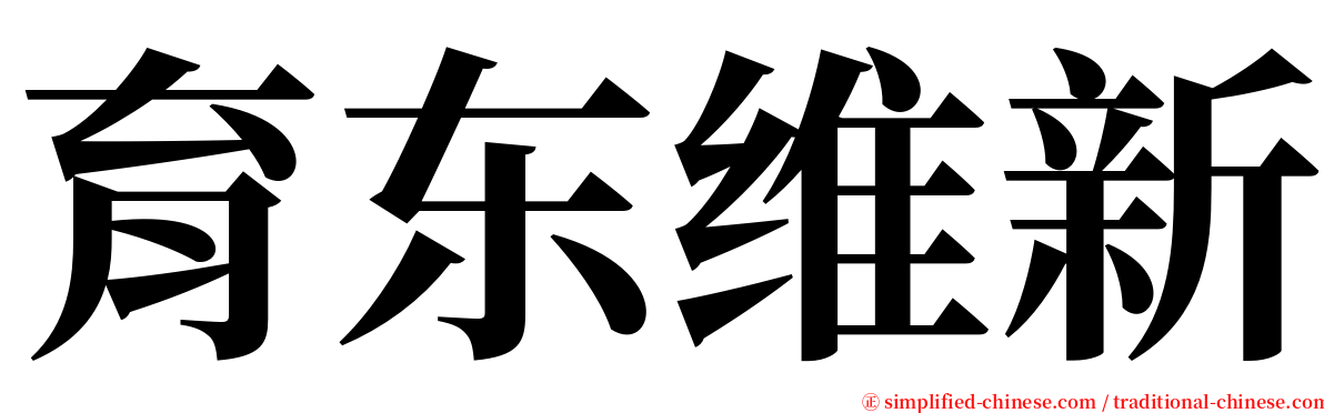 育东维新 serif font