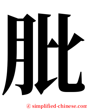 肶 serif font