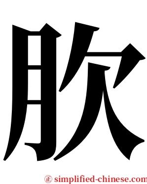 肷 serif font