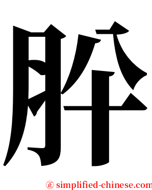 肸 serif font