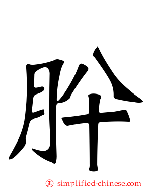 肸