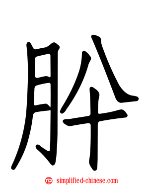 肸