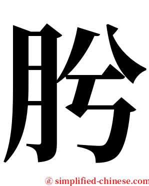 肹 serif font