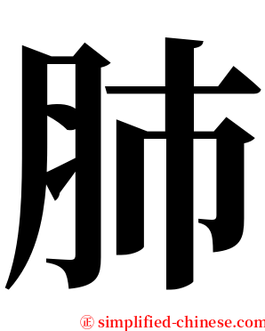 肺 serif font