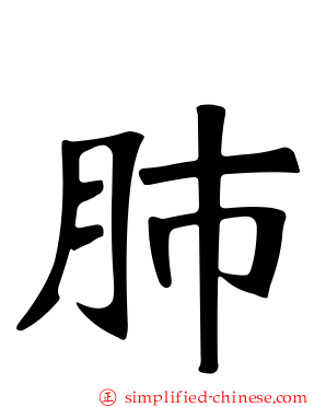 肺