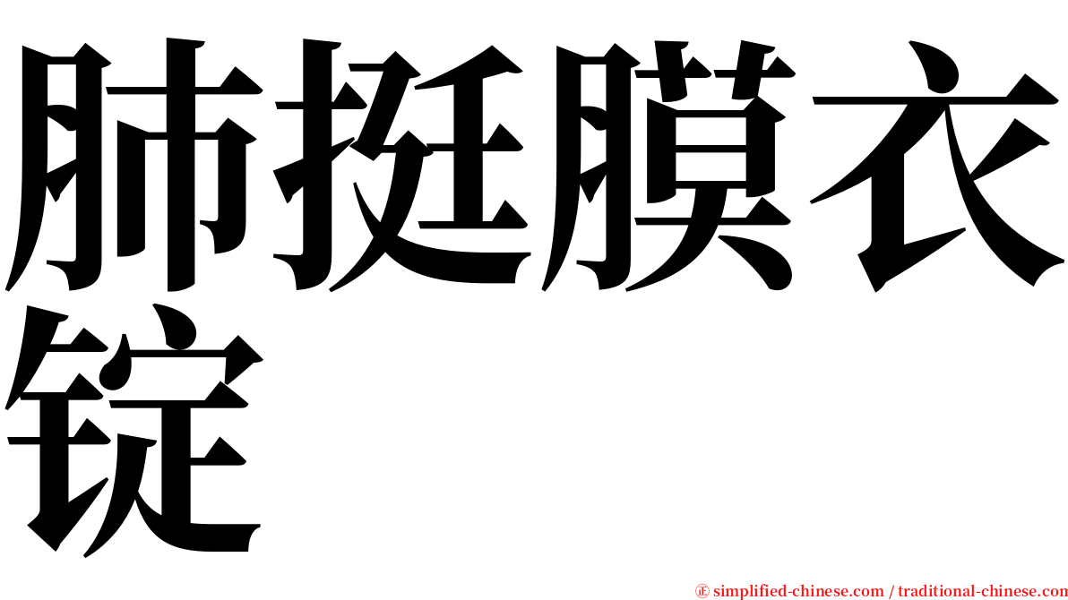 肺挺膜衣锭 serif font