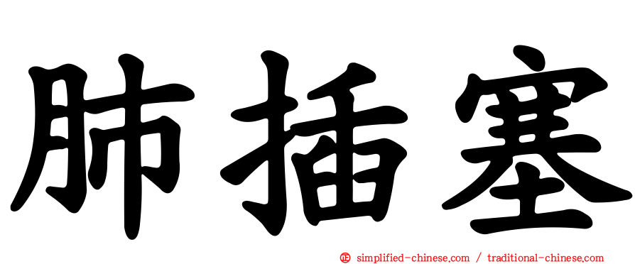 肺插塞